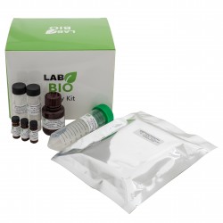 Anti-Trastuzumab ELISA Kit